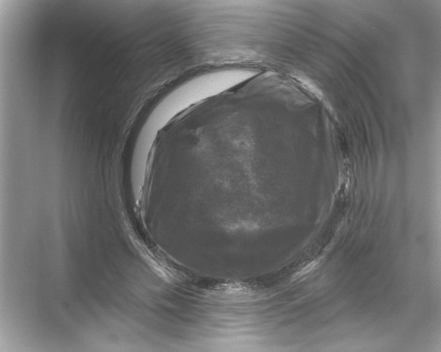 X0000067880589200605041836