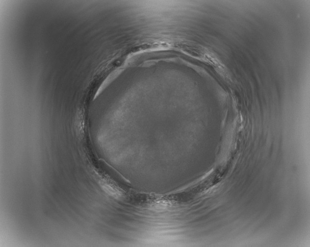 X0000067880593200605041836
