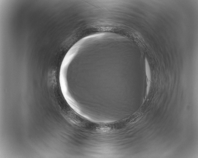 X0000067880598200605041836