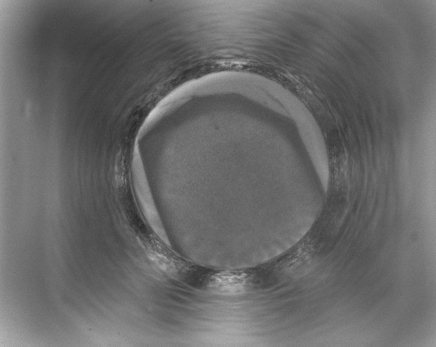 X0000067880606200605041836