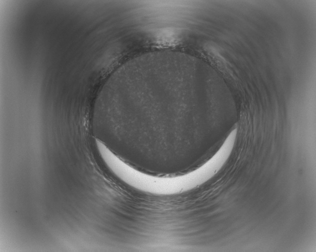 X0000067880608200605041836