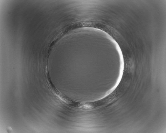 X0000067880610200605041836