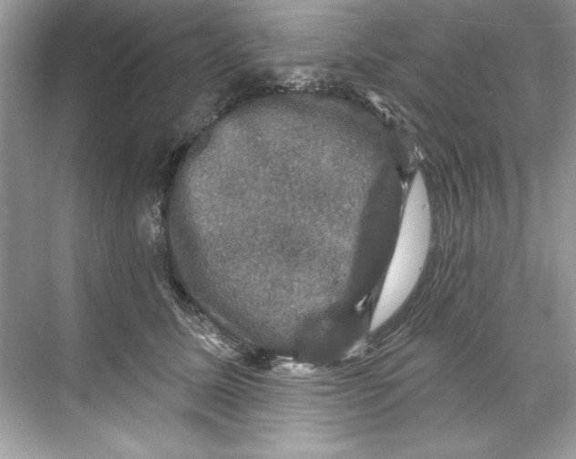 X0000067880611200605041836