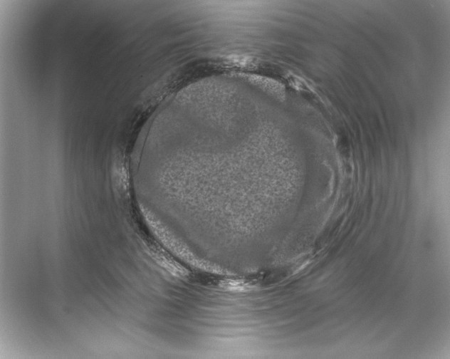 X0000067880613200605041836