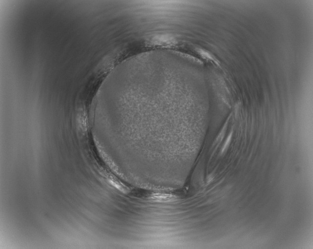 X0000067880617200605041835