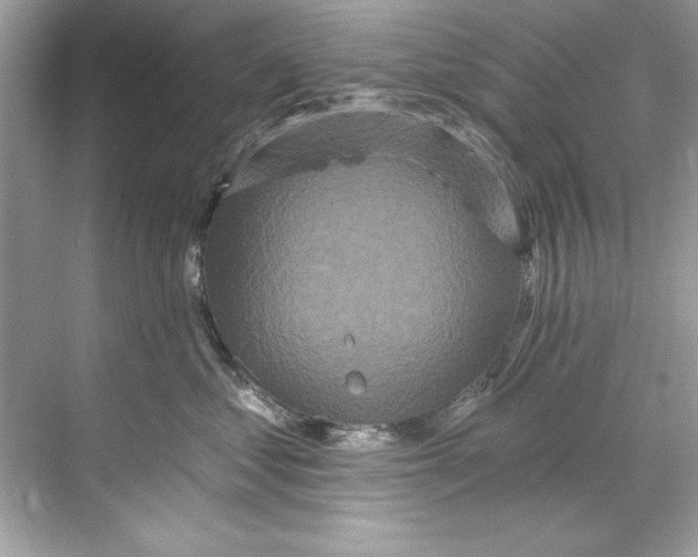 X0000067880621200605041835