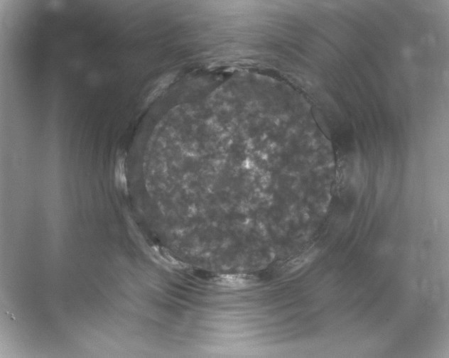 X0000067880623200605041835