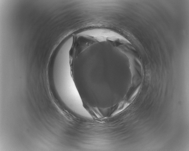 X0000067880626200605041835