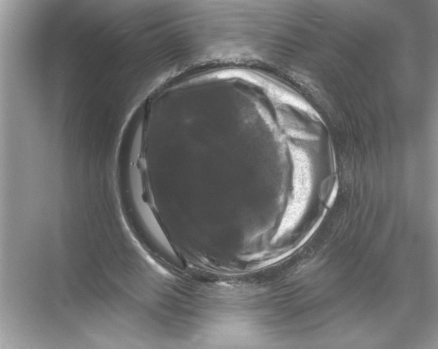 X0000067880630200605041835