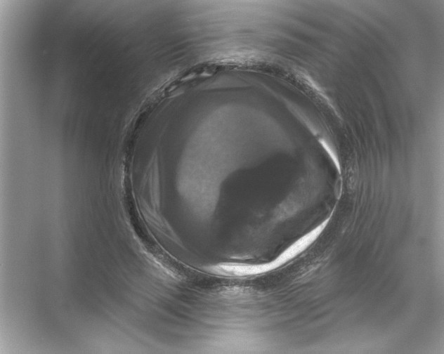 X0000067880637200605041835