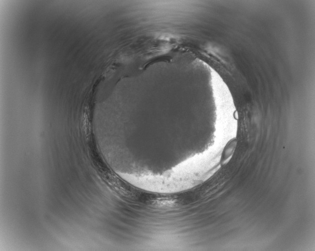 X0000067880651200605041835