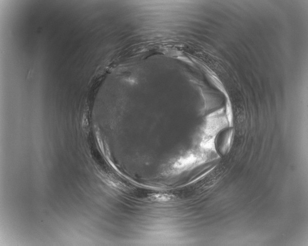 X0000067880654200605041835
