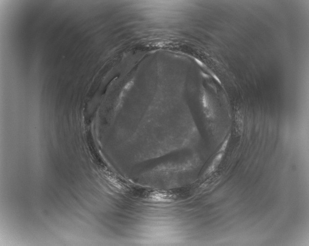 X0000067880657200605041835