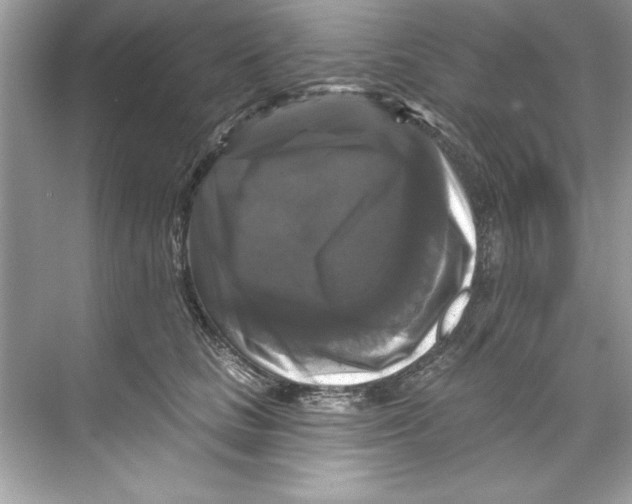 X0000067880661200605041835