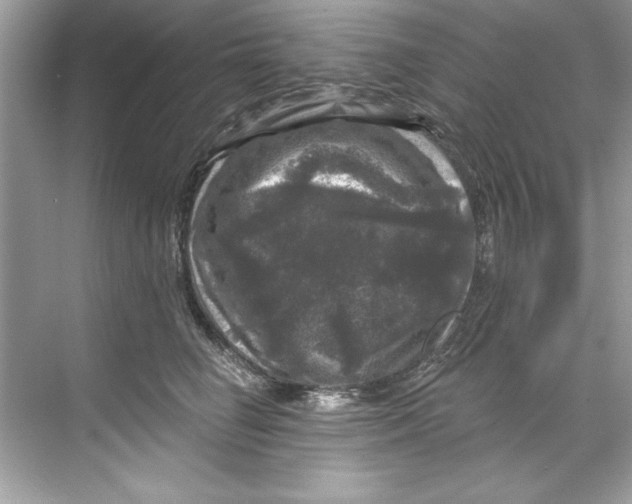 X0000067880662200605041835