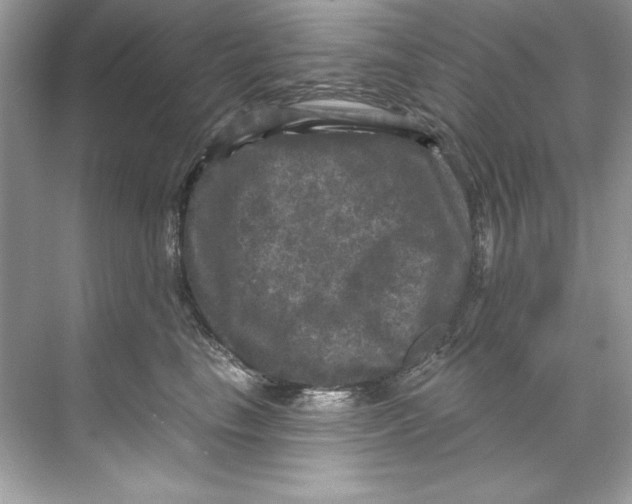 X0000067880665200605041835