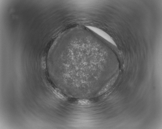X0000067880666200605041835