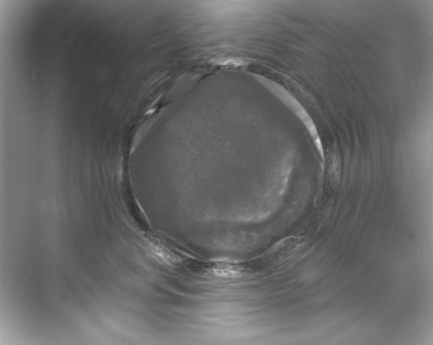 X0000067880668200605041835