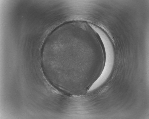 X0000067880673200605041835