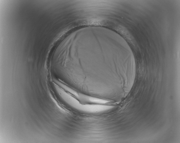 X0000067880674200605041834