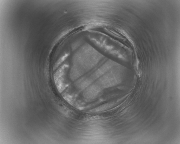 X0000067880675200605041834