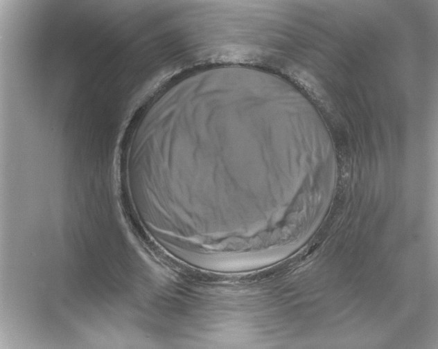 X0000067880678200605041834