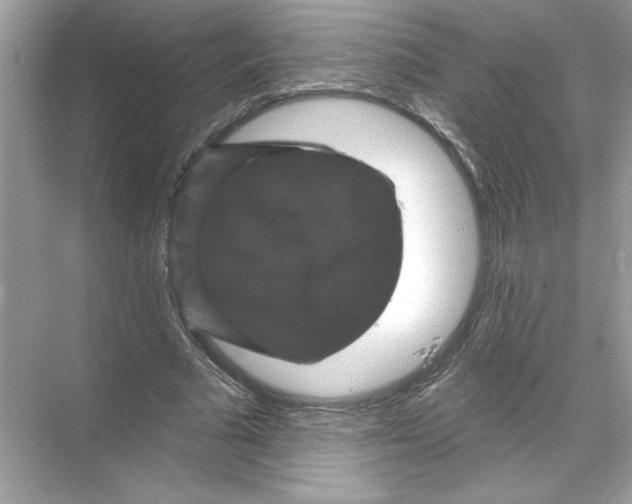 X0000067880681200605041834