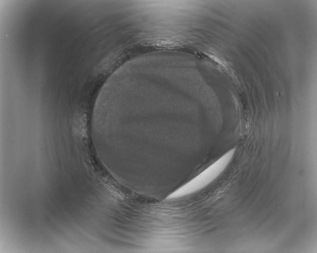X0000067880689200605041834