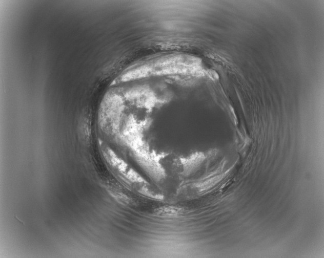 X0000067880691200605041834
