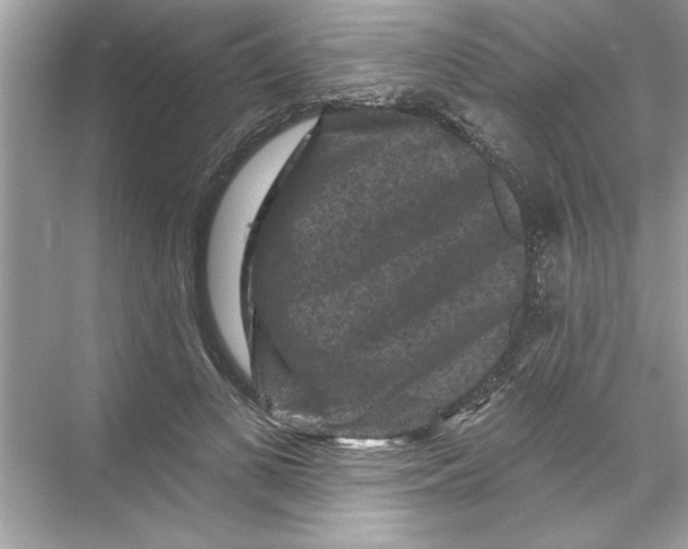 X0000067880693200605041834