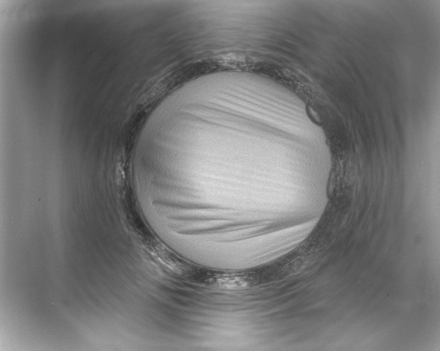 X0000067880702200605041834
