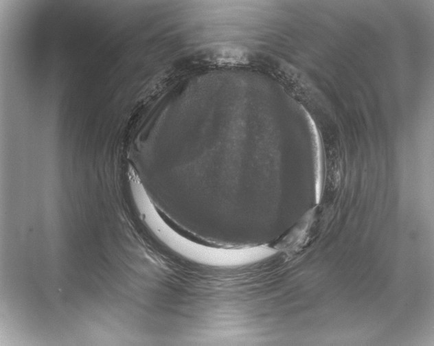 X0000067880704200605041834