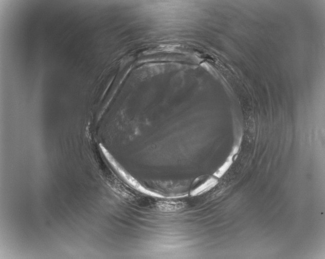 X0000067880707200605041834