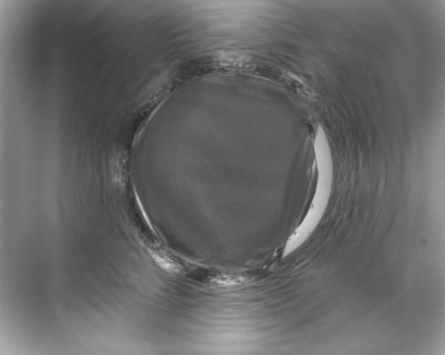 X0000067880712200605041834