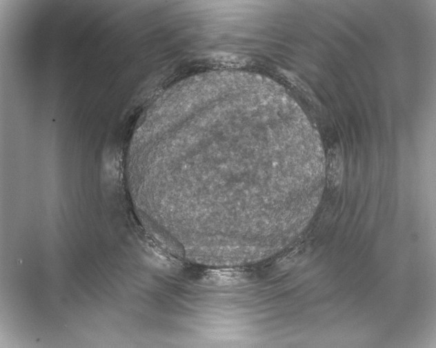 X0000067880713200605041834