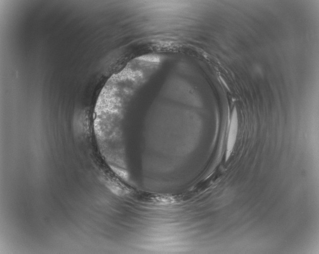 X0000067880715200605041834
