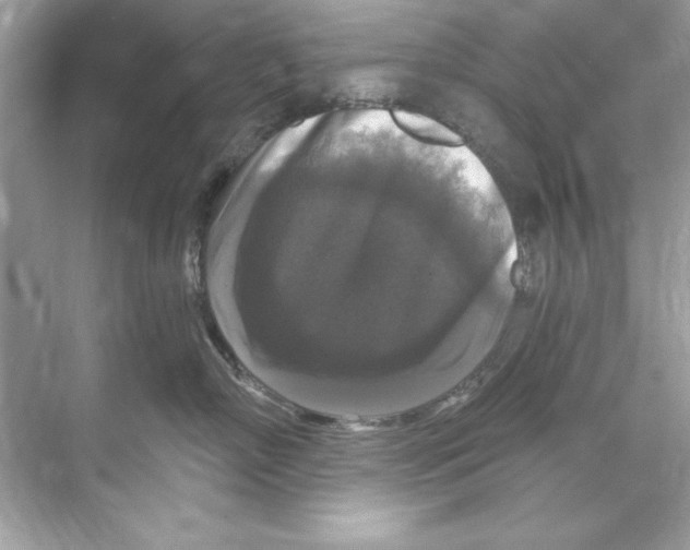 X0000067880718200605041834