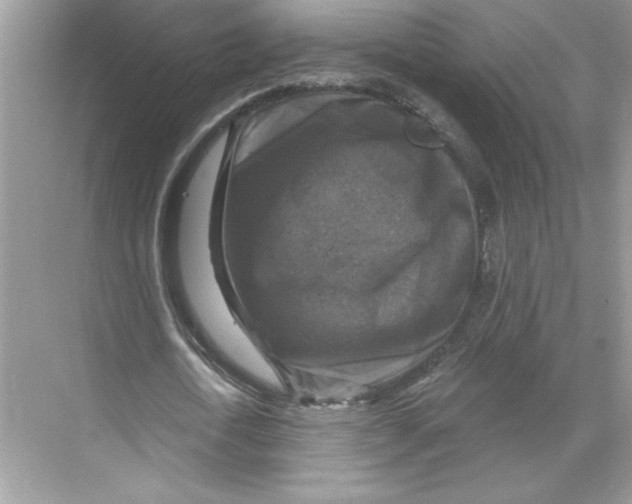 X0000067880722200605041833