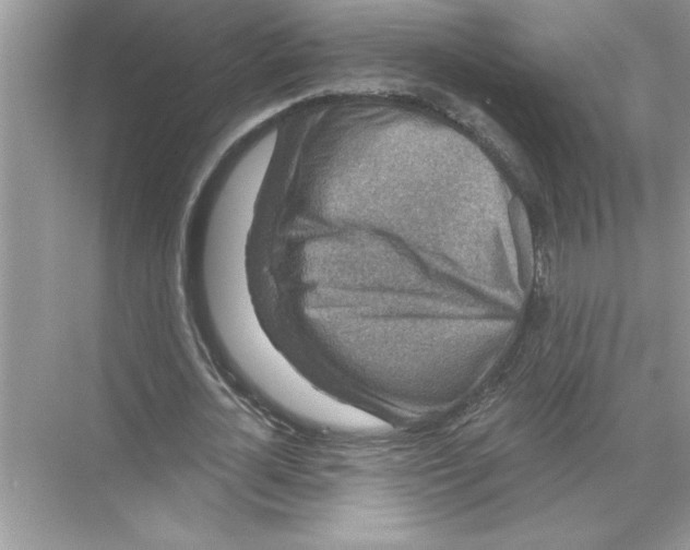 X0000067880724200605041833