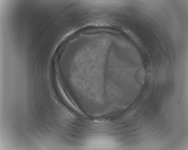 X0000067880727200605041833