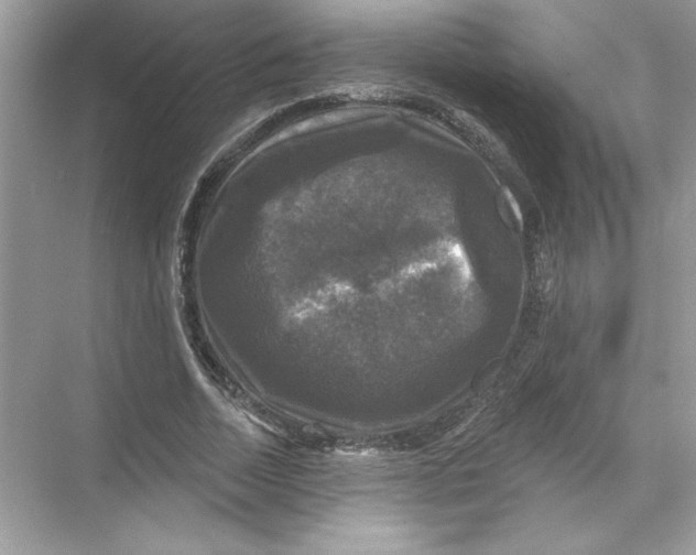 X0000067880730200605041833