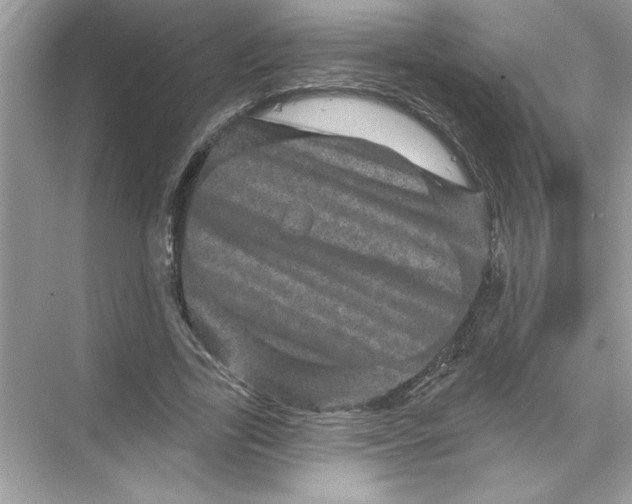 X0000067880731200605041833