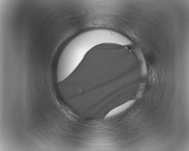X0000067880735200605041833