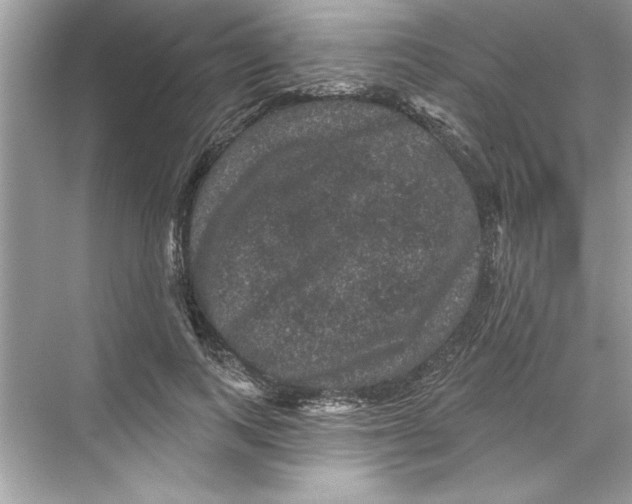 X0000067880743200605041833