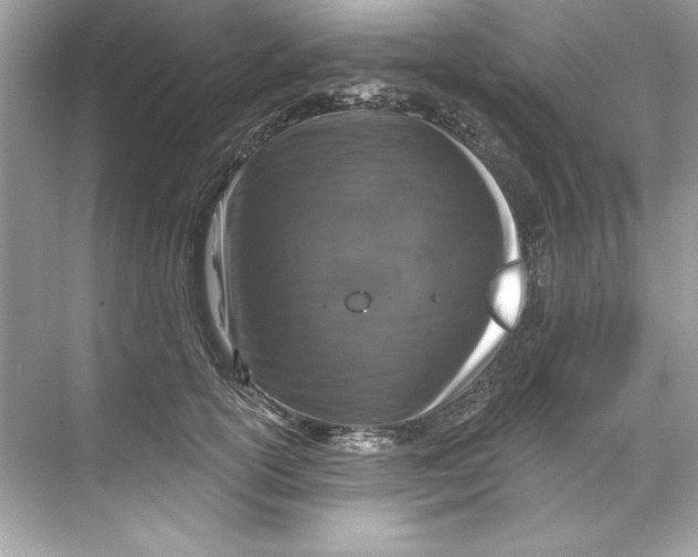 X0000067880754200605041833