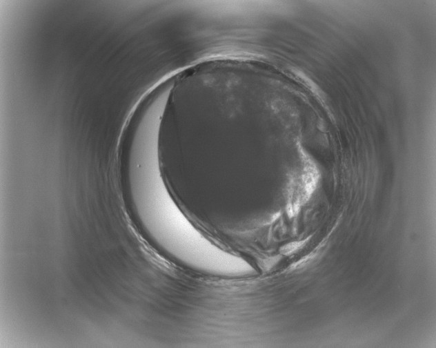 X0000067880779200605041833