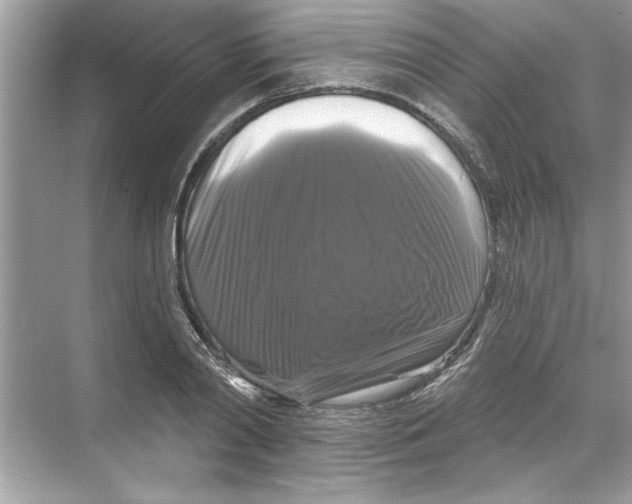 X0000067880790200605041833