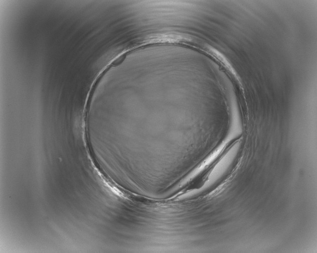 X0000067880802200605041832