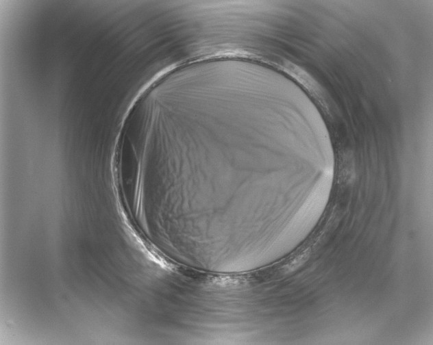 X0000067880806200605041832