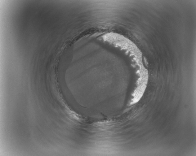 X0000067880817200605041831